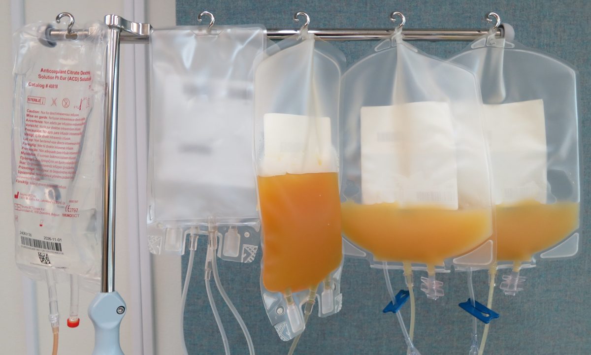 blood plasma donation